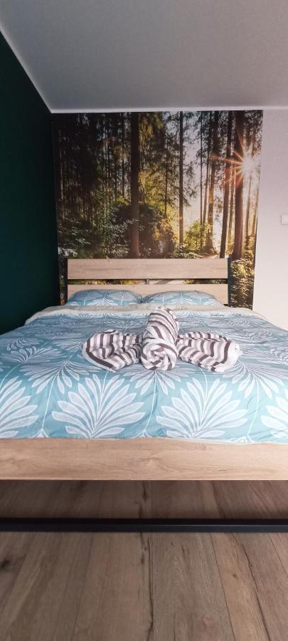 Apartamenty Diamond Na Sportowej Tylicz Dış mekan fotoğraf